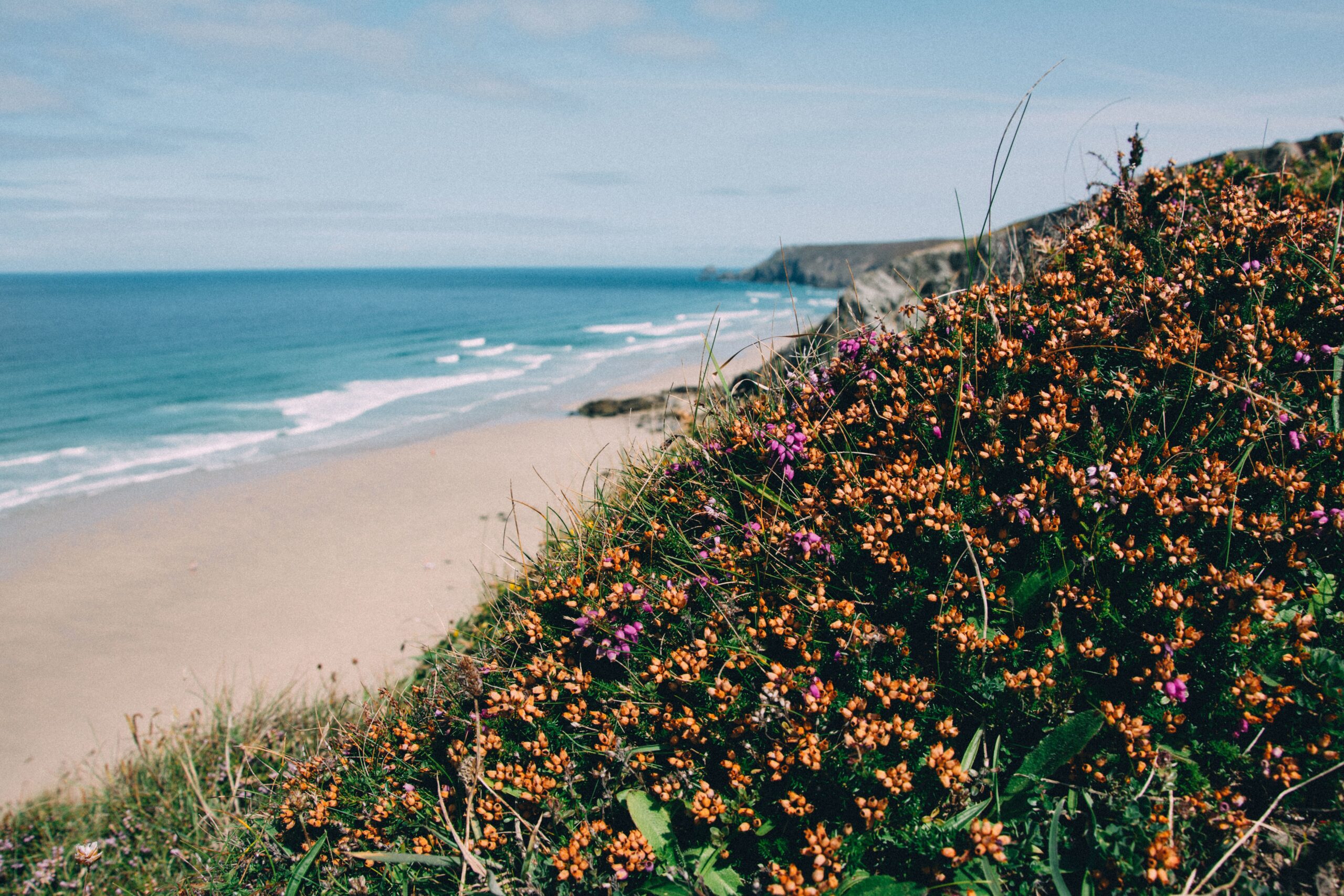Beautiful shot of a bay with plants and flowers